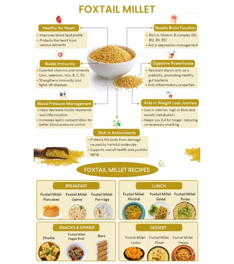 Foxtail Millet (Kangni/Kanghee Seeds)