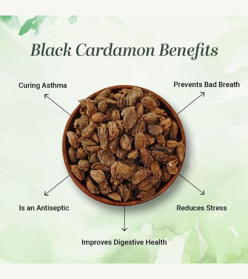 Black Cardamom Donra (Kali Elaichi)