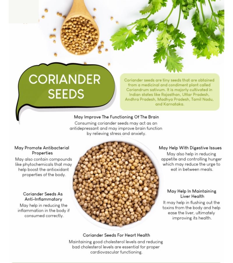 Coriander Seeds (Dhaniya)