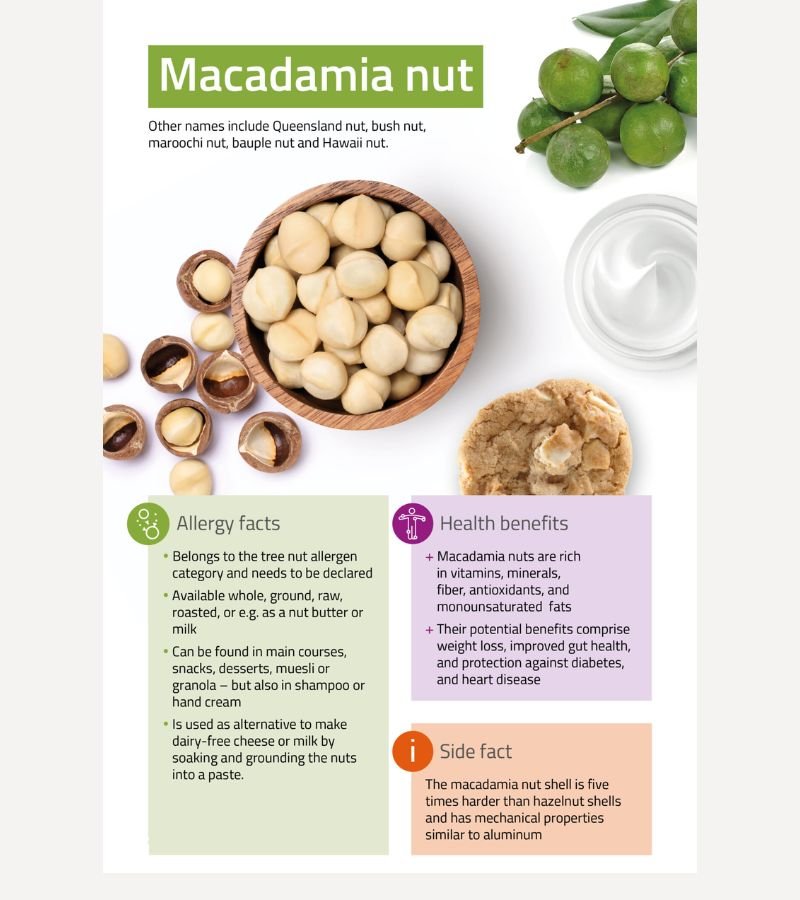 Macadamia with Shell