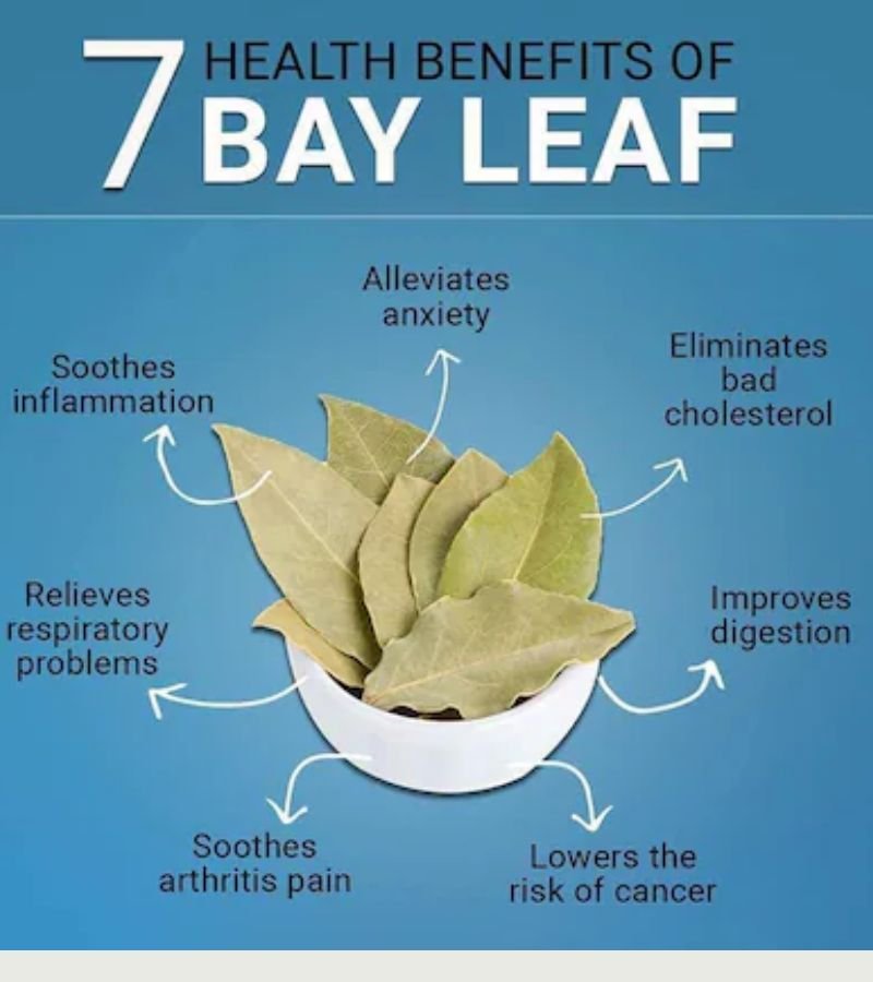 Bay Leaf (Tej Patta)