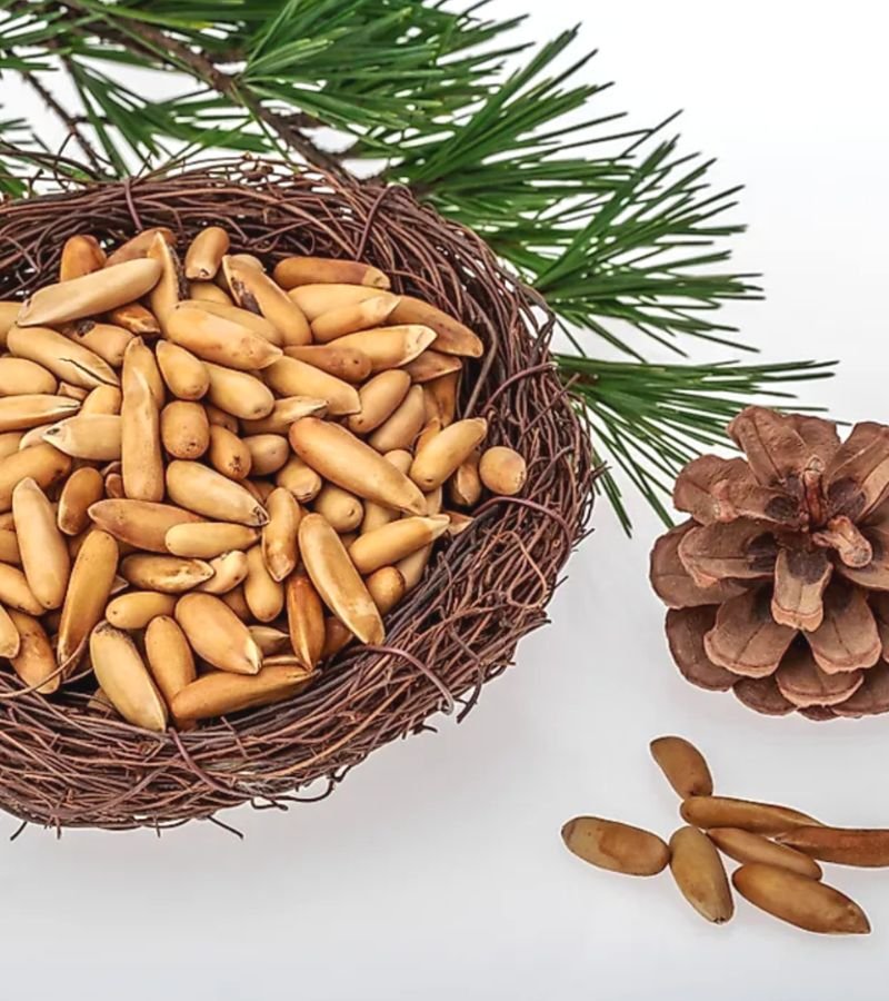 Chilgoza with Shell (Pine Nuts with Shell)