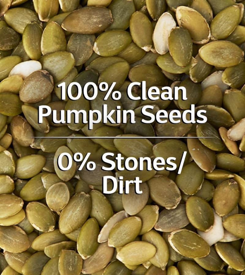 Pumpkin Seeds (Kaddu Ke Beej)