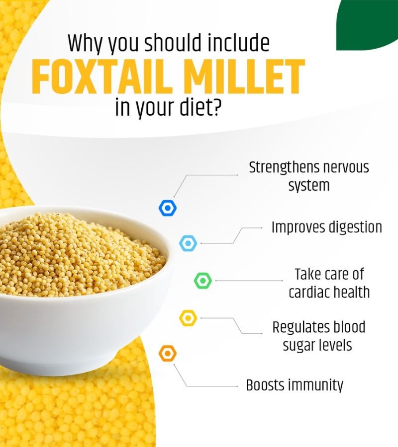 Foxtail Millet (Kangni/Kanghee Seeds)