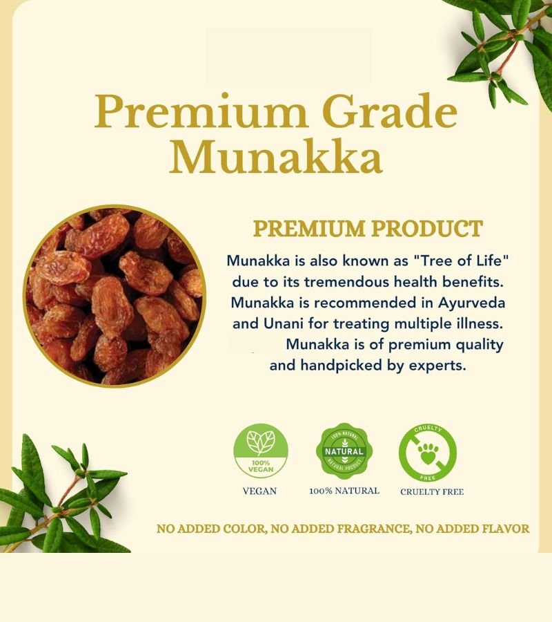 Munaqqa Regular