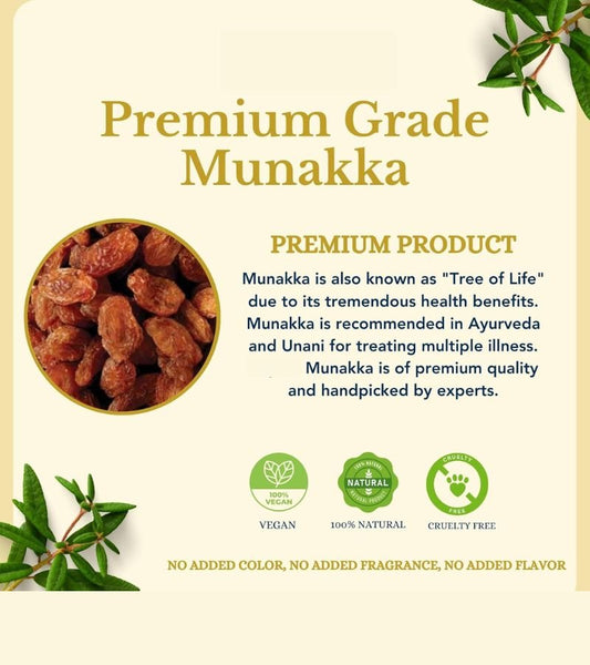 Munaqqa Regular