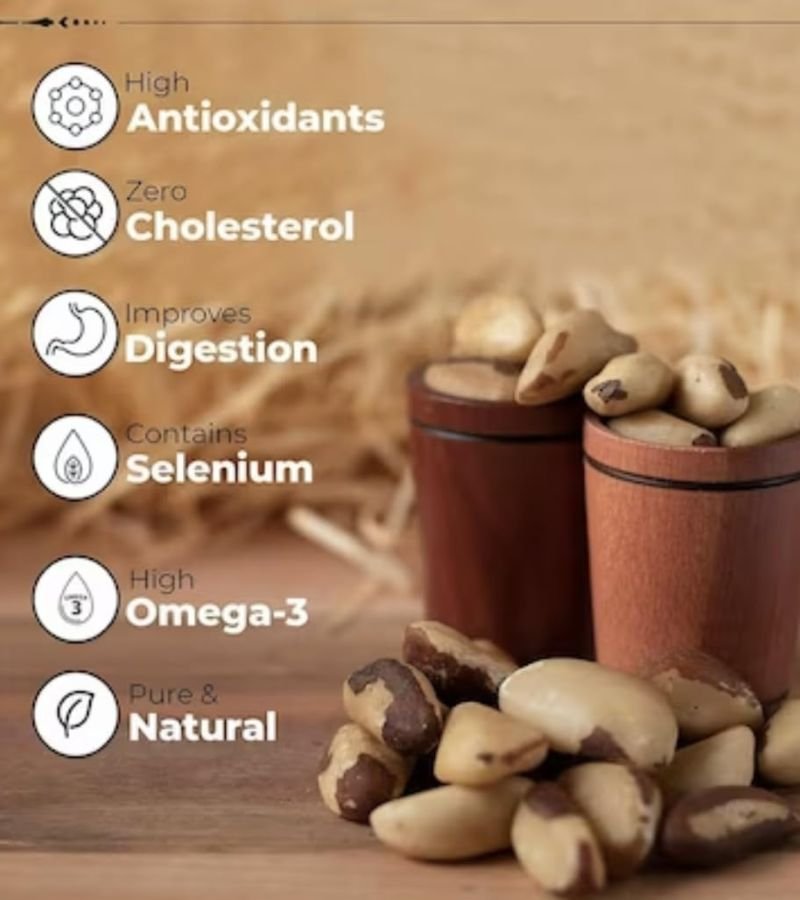 Brazil Nut