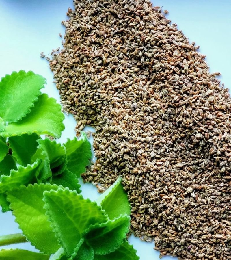 Carom Seeds (Ajwain)