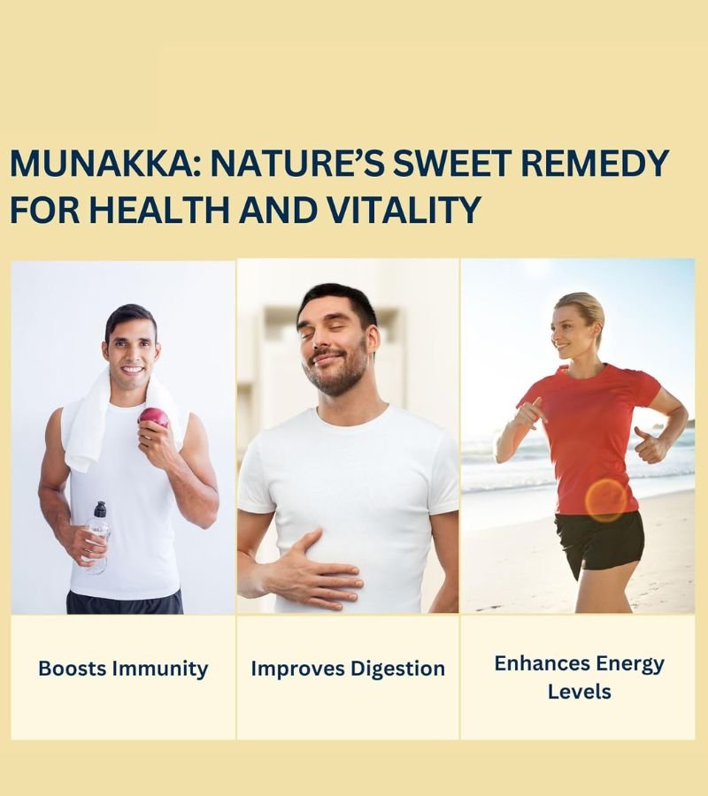 Munaqqa Regular