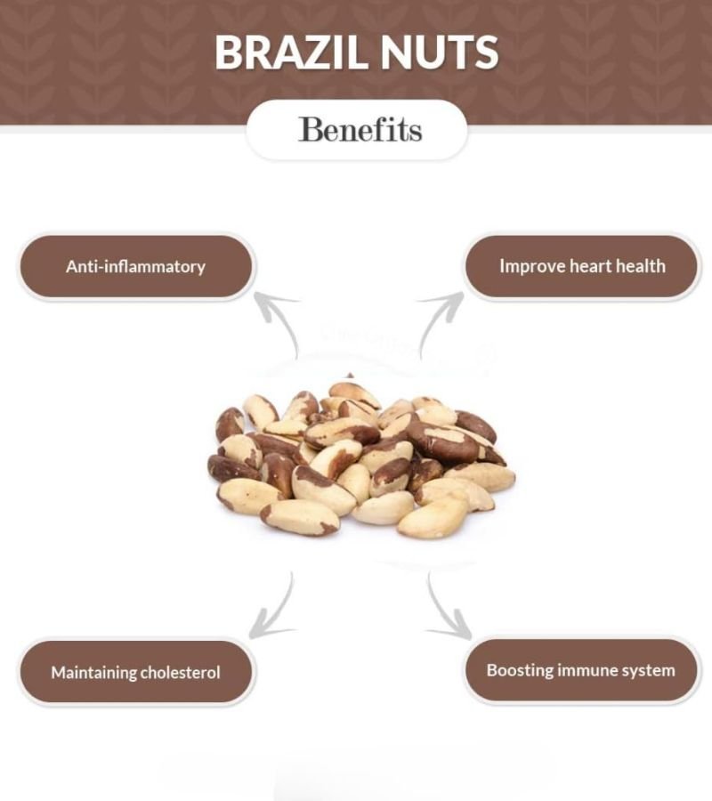 Brazil Nut