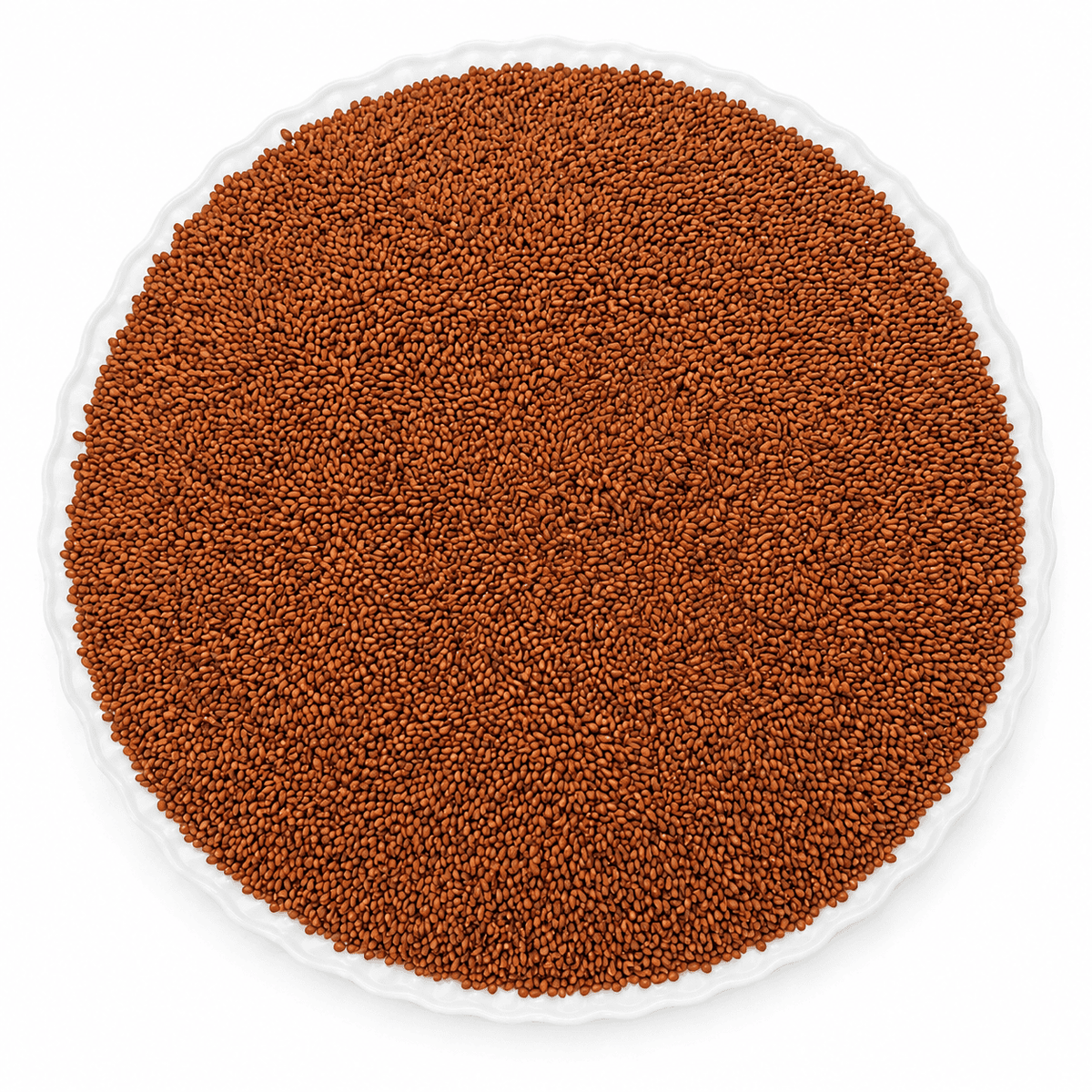 Premium Haleem Seeds (Halam Seeds)