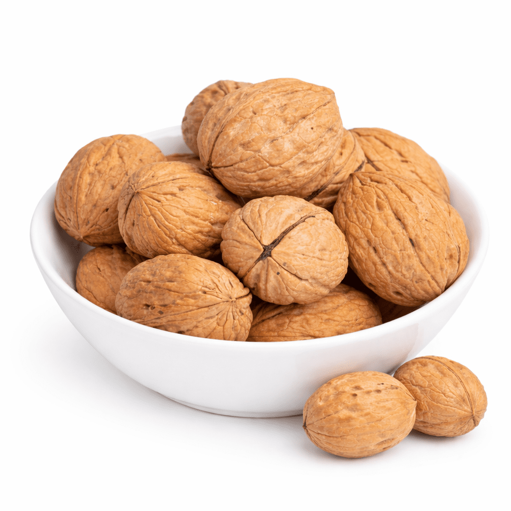 Walnut Shell Kashmiri