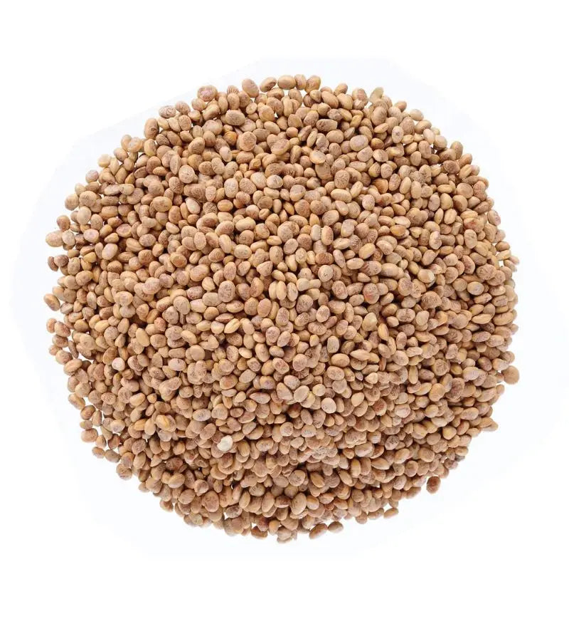 Chirongi (Cuddapah almond)