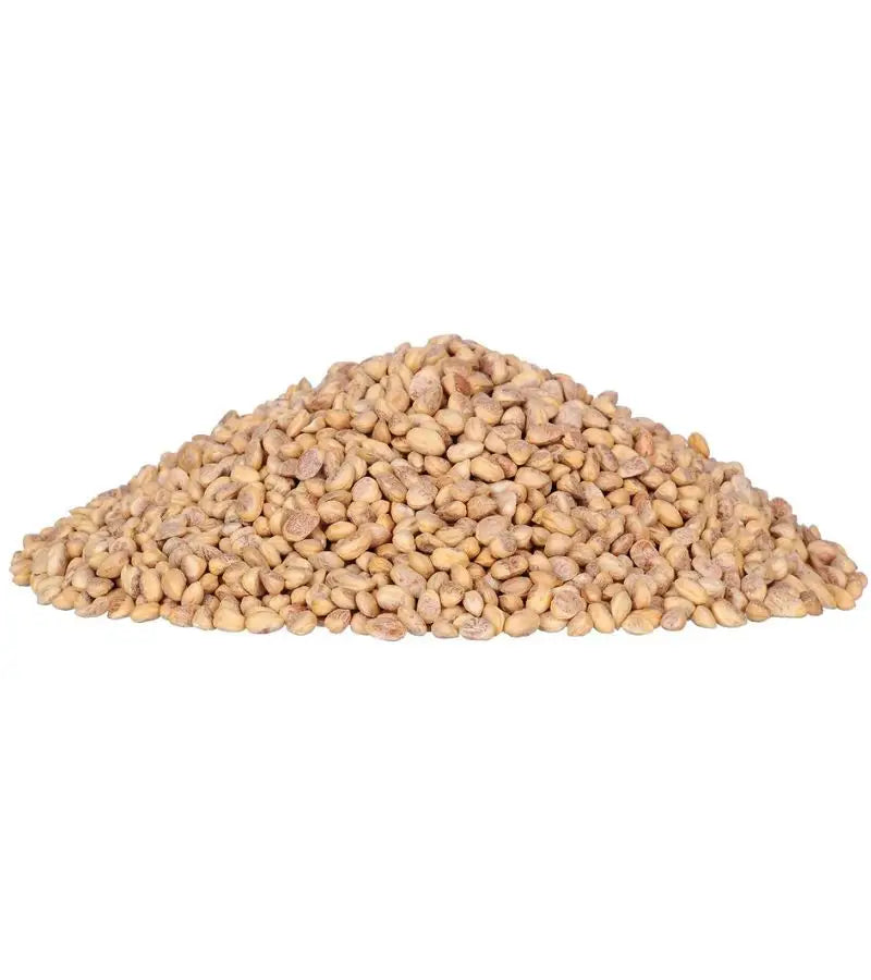 Chirongi (Cuddapah almond)