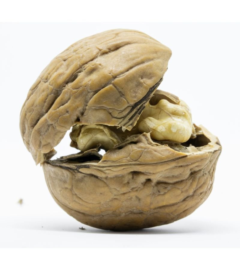 Walnut With Shell (Whole Walnuts)