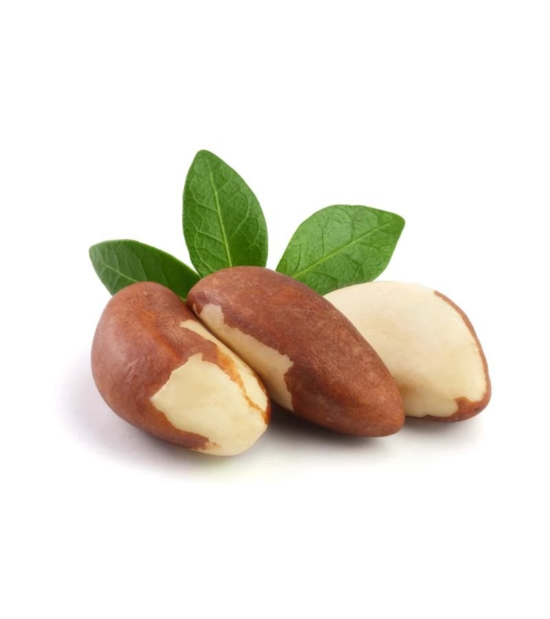 Brazil Nut