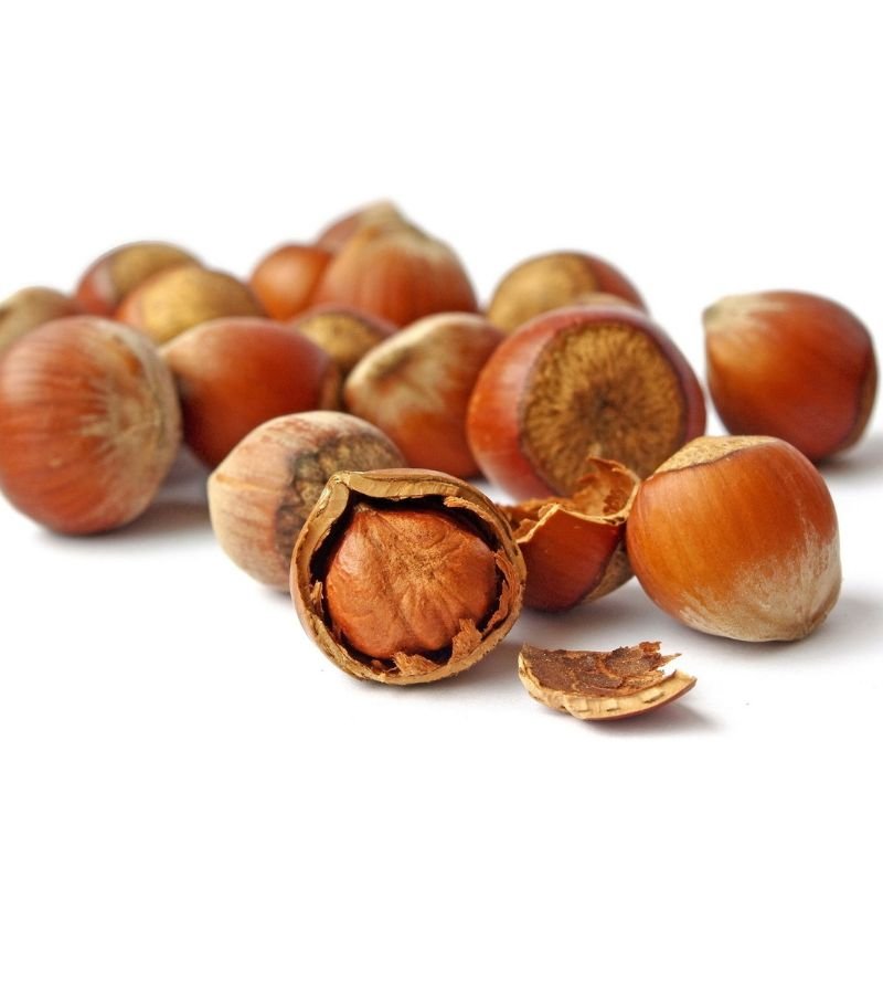 Hazelnut
