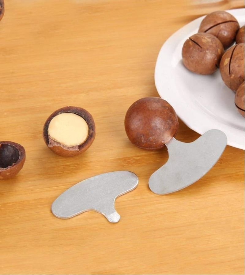 Macadamia with Shell