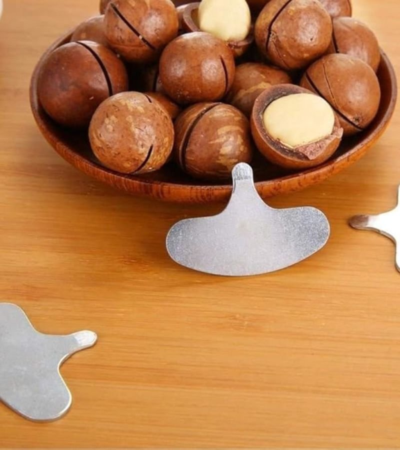 Macadamia with Shell