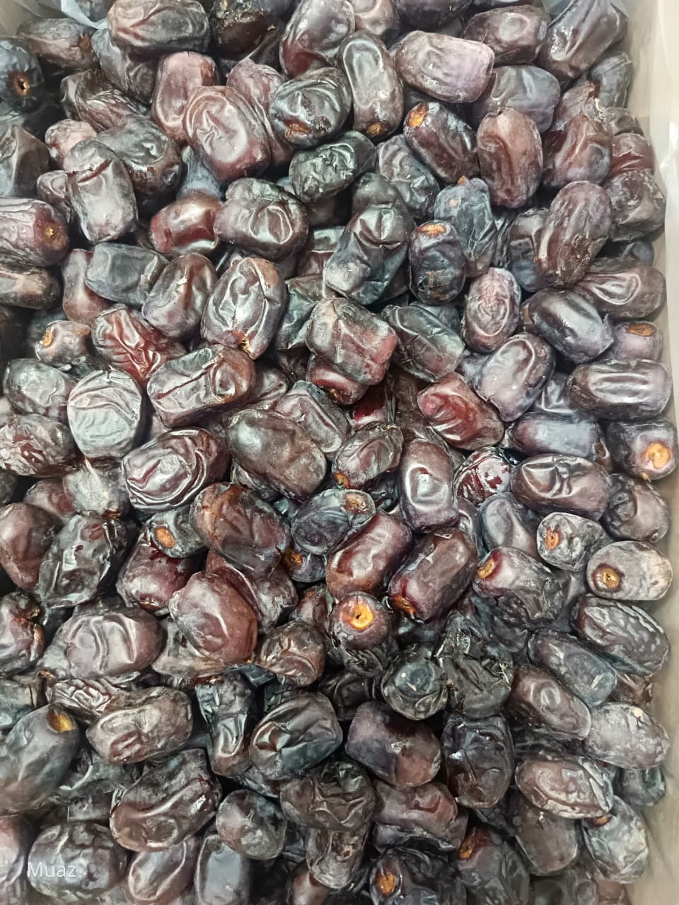 Kimia Dates – Regular Dates at Just ₹299/Kg | Special Offer by Zafran House