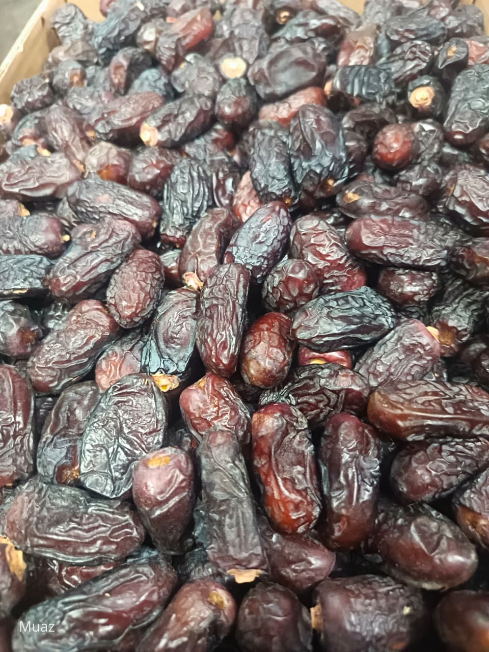 Safawi Dates (Regular) – Special Offer at ₹499/kg | Zafran House