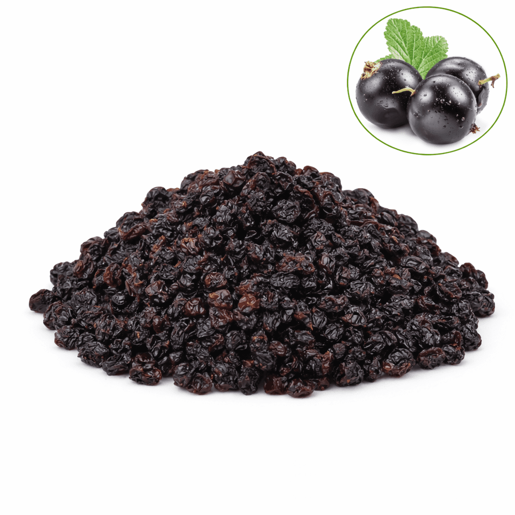 Black Currant dried premium close-up, deep dark purple juicy blackcurrant dry fruit antioxidant immunity snack from Zafran House