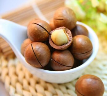 Macadamia with Shell