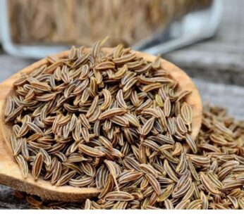 Herbanuts Premium (Shahi Jeera/Shahzeera/Caraway Seeds)