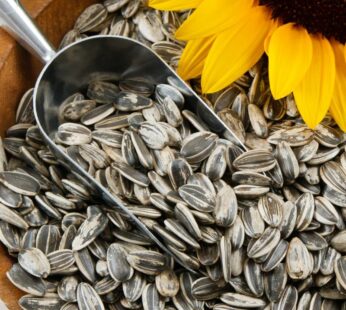 Sunflower Seeds (Sooraj Mukhi Beej)