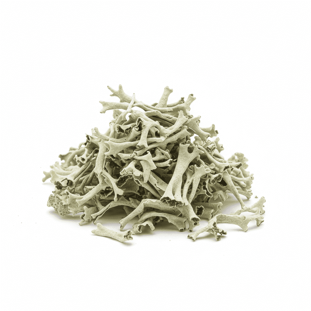 Stone Flower (Pathar ke Phool)