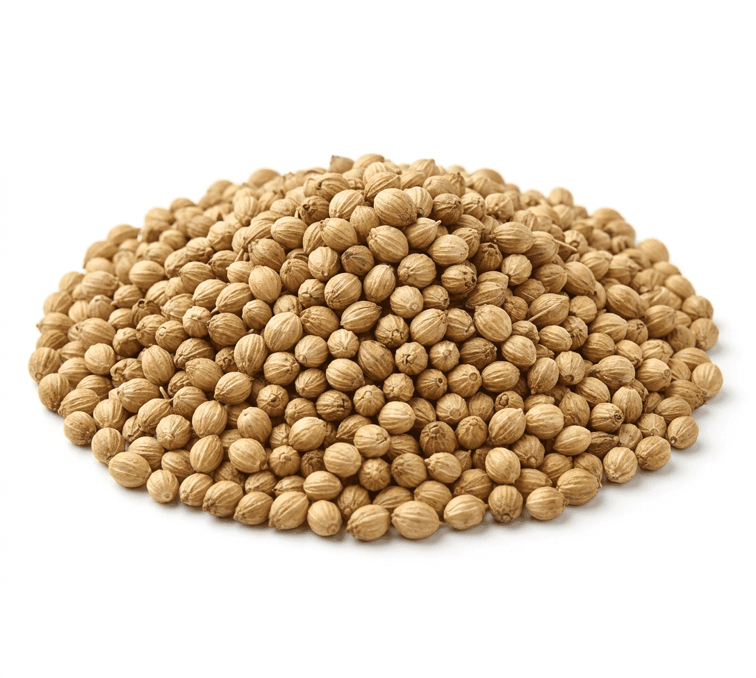 Coriander Seeds (Dhaniya / Sabut Dhania) raw aromatic spice in bowl, premium quality whole seeds from Zafran House
