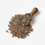 sunflower seed