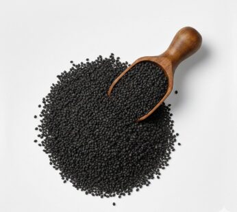 Kalonji Seeds (Nigella Sativa Seeds)