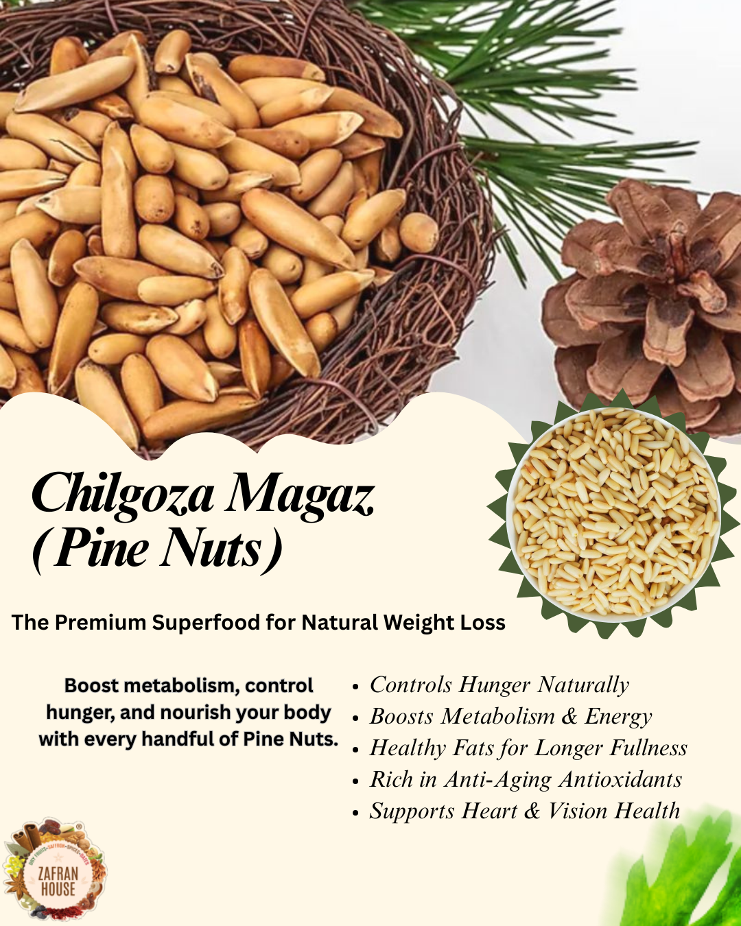 Chilgoza Magaz (Pine Nuts): A Powerful Superfood for Natural Weight Loss