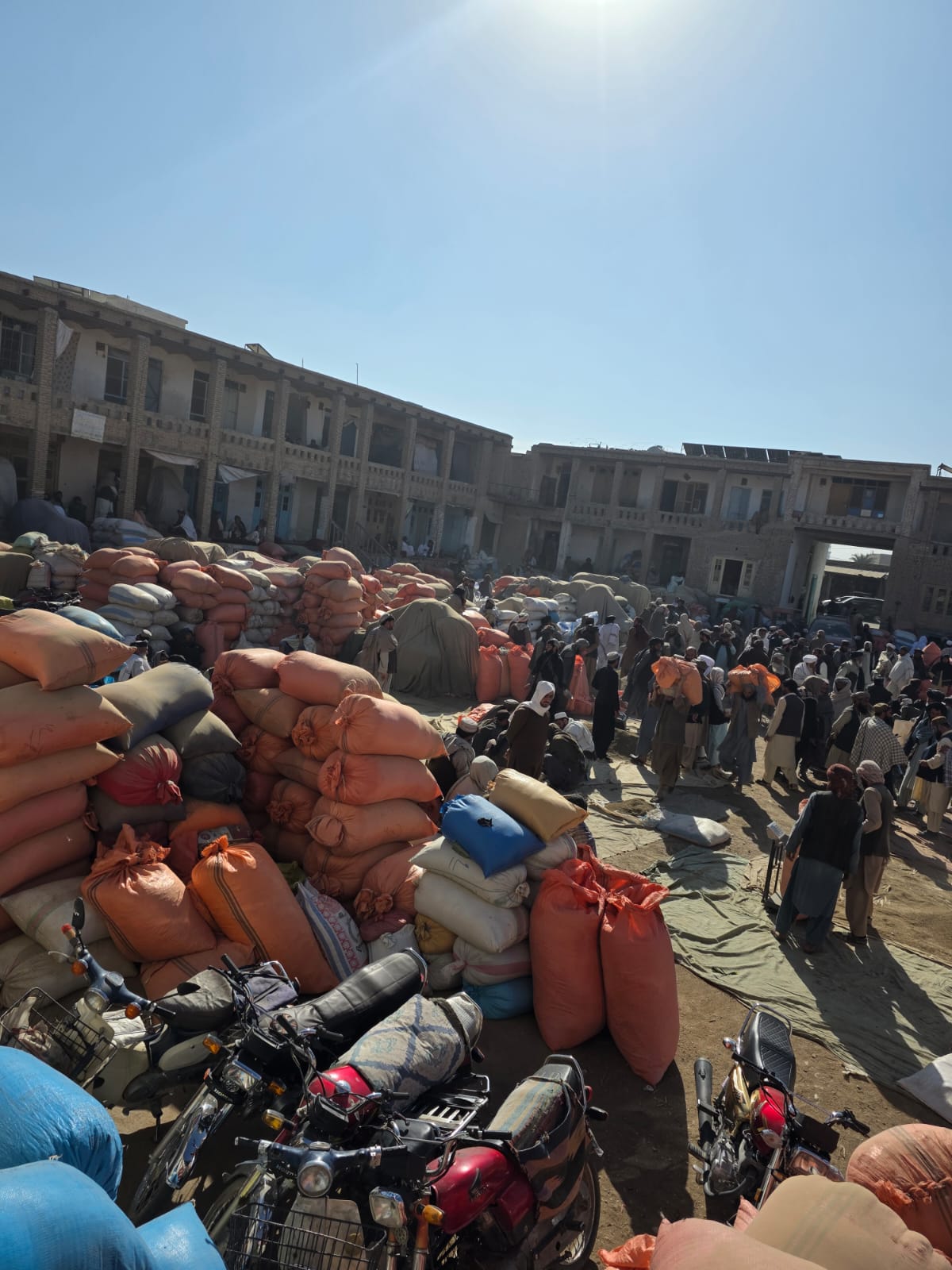 Imported Kishmish from Kandahar, Afghanistan – Premium Raisins for Indian Markets