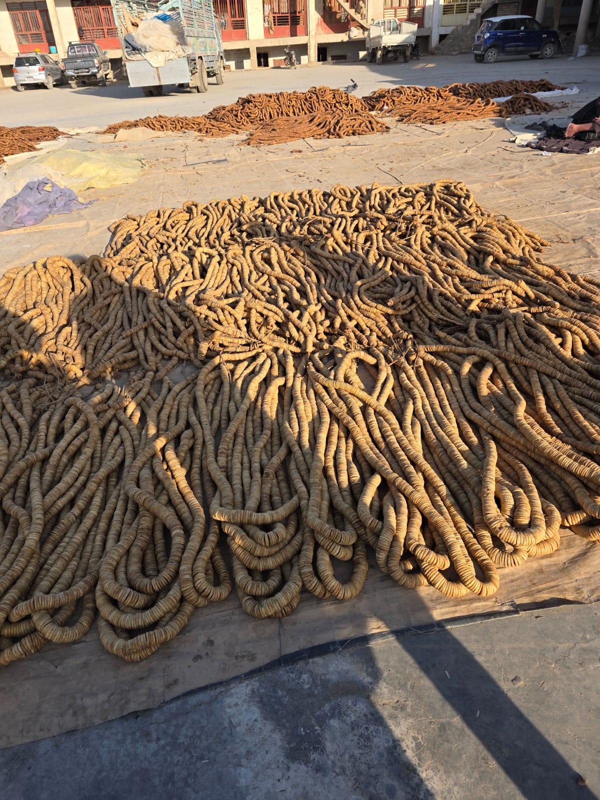 Imported Kandhari Anjeer from Afghanistan to India at Wholesale Price