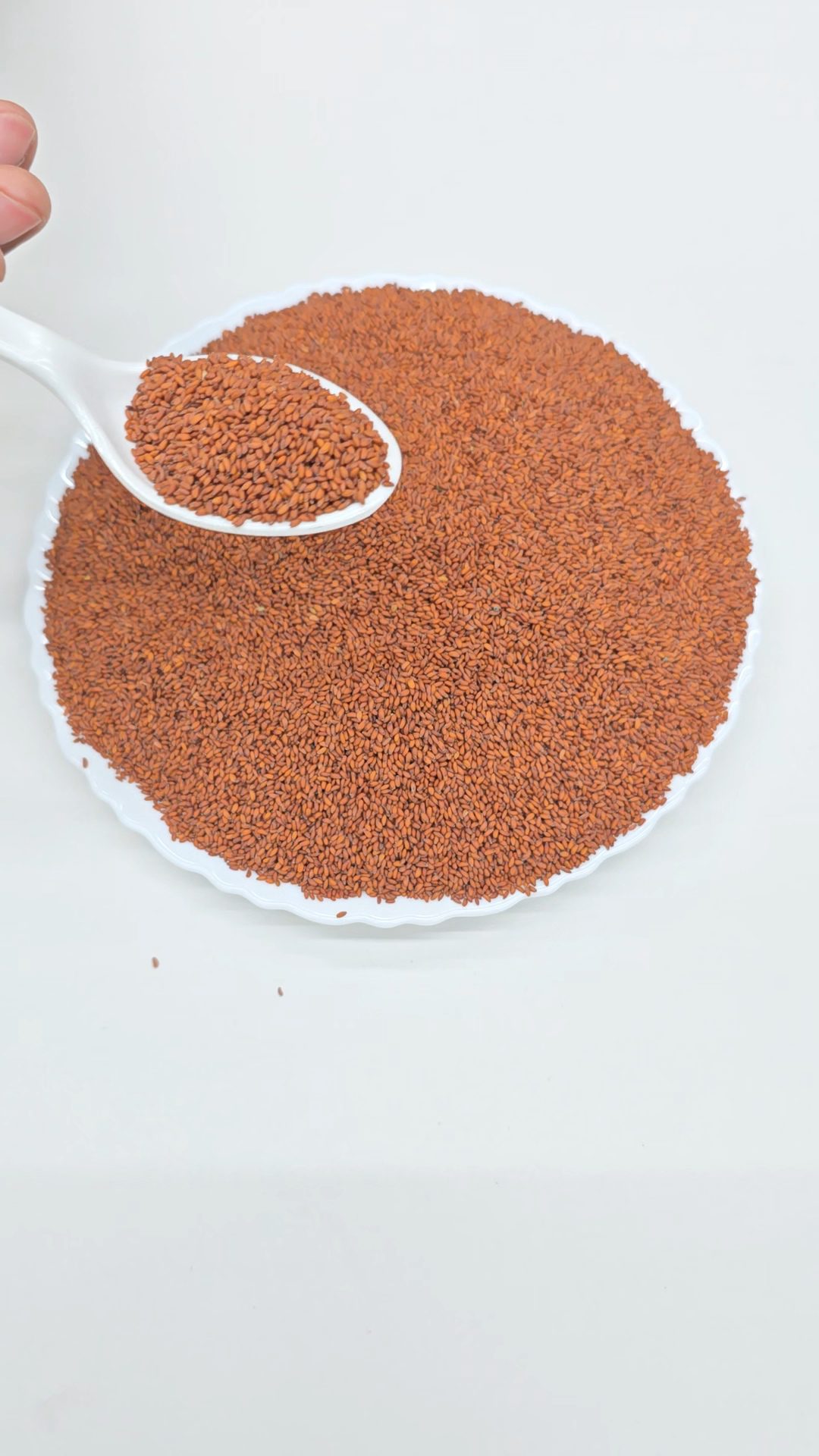 Halem Seeds